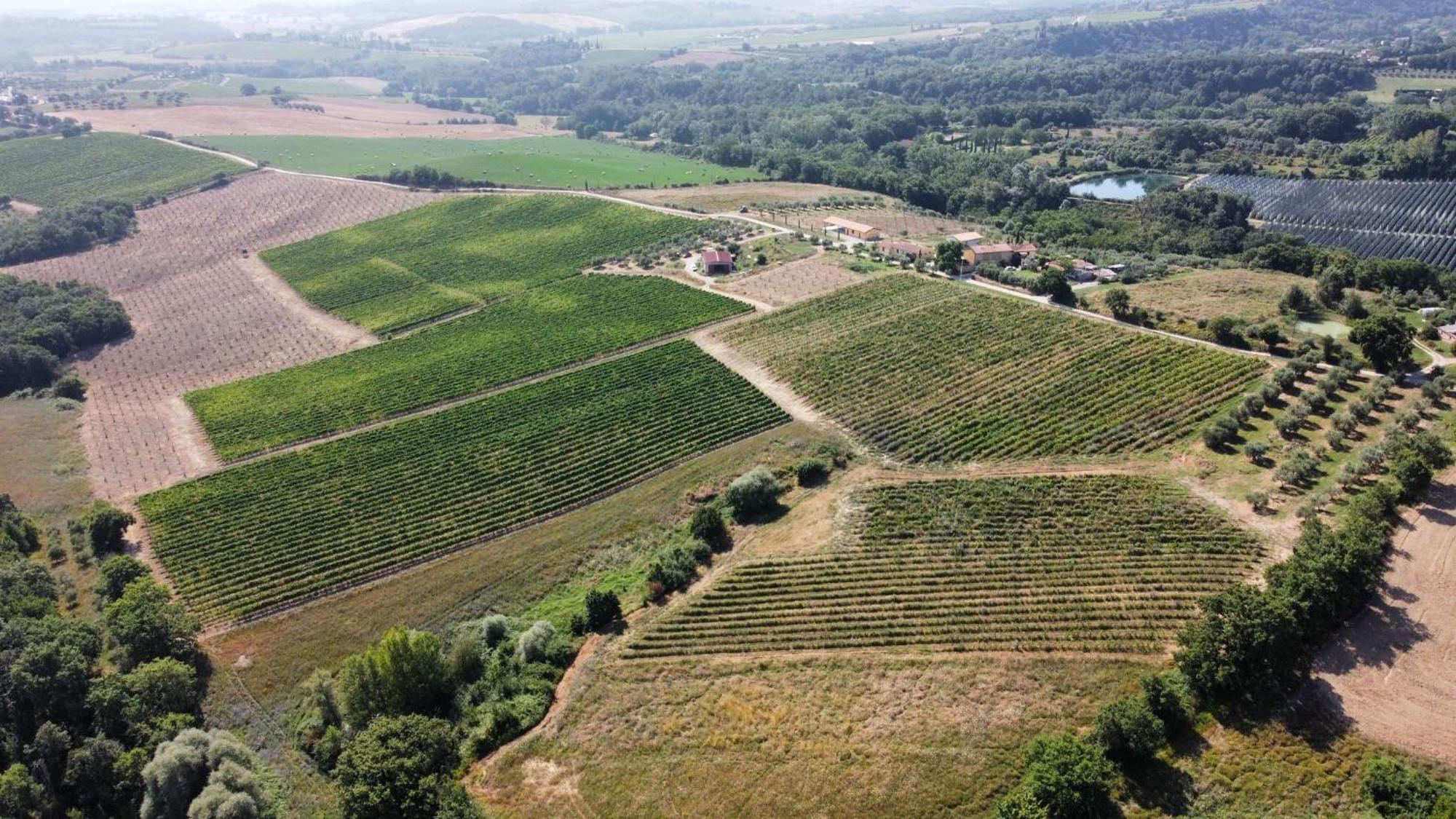 Agriturismo Podere Casa Al Vento Montepulciano Stazione Exteriör bild