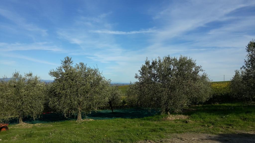 Agriturismo Podere Casa Al Vento Montepulciano Stazione Exteriör bild