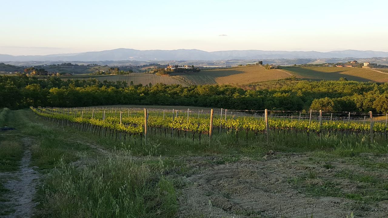 Agriturismo Podere Casa Al Vento Montepulciano Stazione Exteriör bild