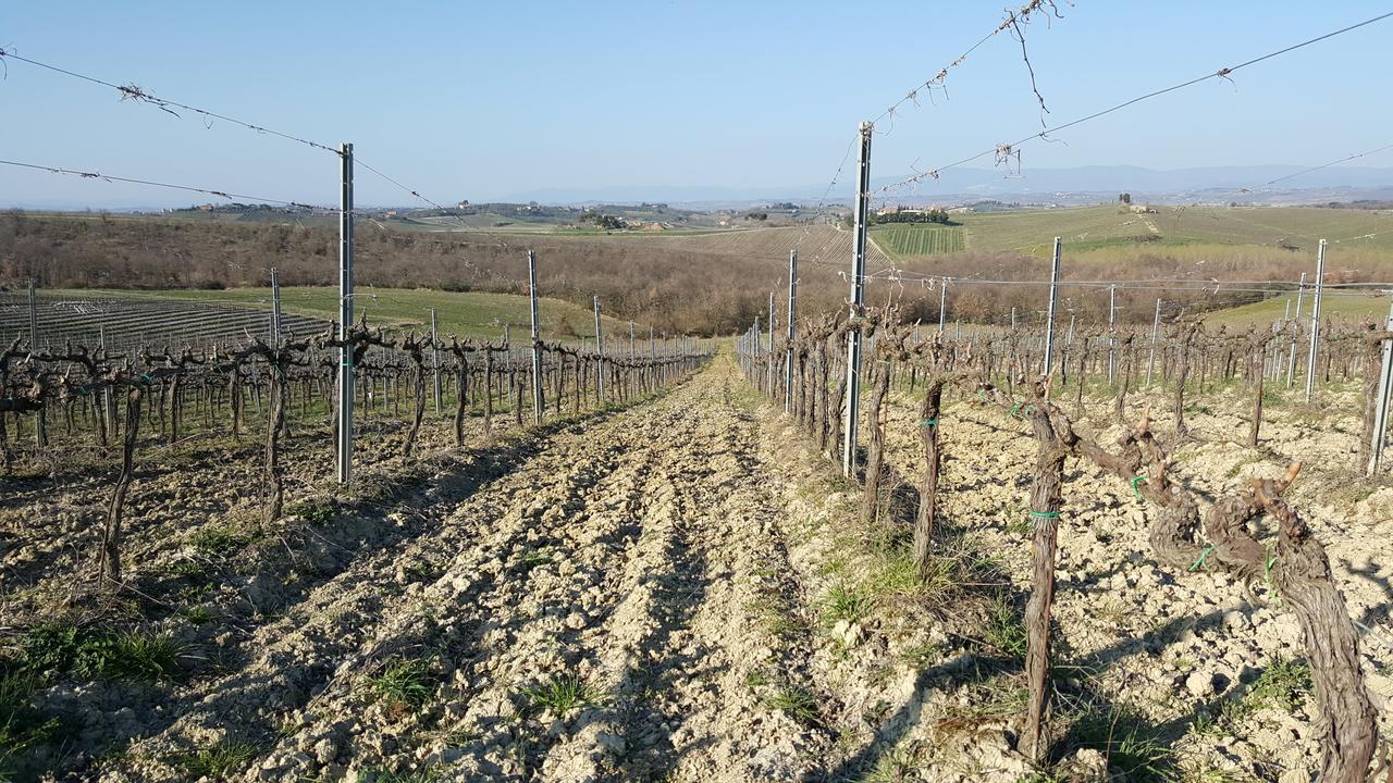 Agriturismo Podere Casa Al Vento Montepulciano Stazione Exteriör bild