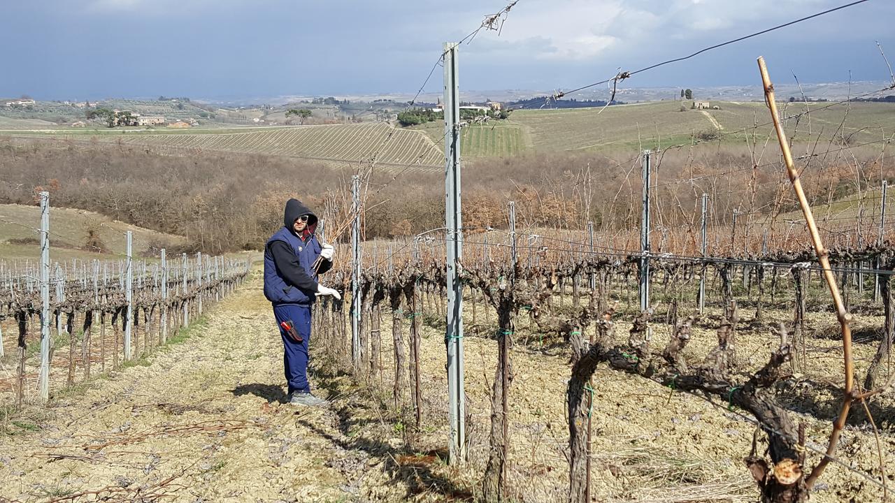 Agriturismo Podere Casa Al Vento Montepulciano Stazione Exteriör bild